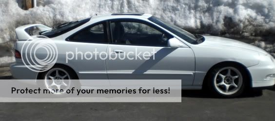 http://i206.photobucket.com/albums/bb29/shanegray22/CIMG0753-1-1.jpg