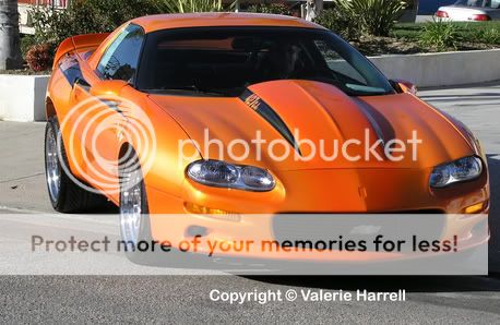 http://i32.photobucket.com/albums/d50/Shockwave179/dhsunset.jpg?t=1244658596