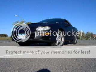 http://i239.photobucket.com/albums/ff155/paulmaro13/stuff019.jpg