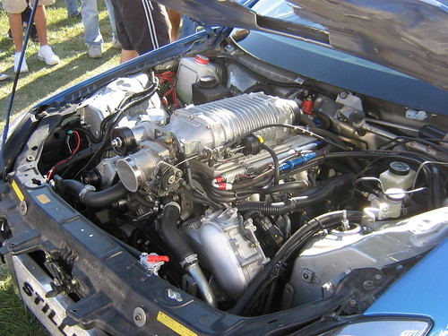 http://farm4.static.flickr.com/3007/2924148283_abcc8886fd.jpg