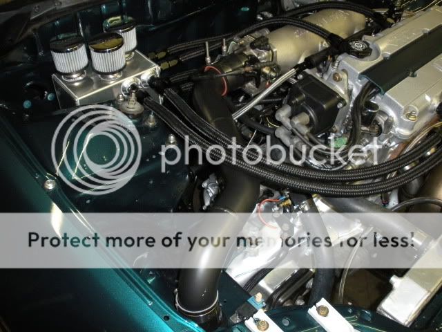 http://i197.photobucket.com/albums/aa271/shrekb18/newshrek/DSCN1079.jpg?t=1280095076
