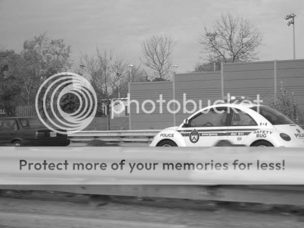 http://img.photobucket.com/albums/v606/jjwilks/safetybug.jpg