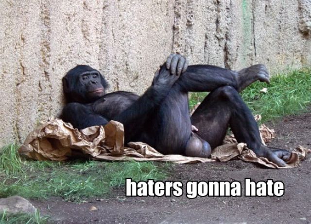 http://img.izismile.com/img/img5/20120208/640/epic_haters_gonna_hate_memes_640_37.jpg