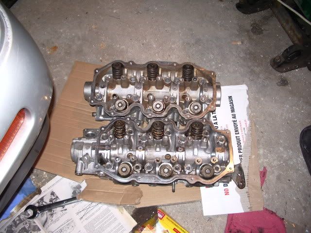 http://img.photobucket.com/albums/v489/Shady195/IMGP1231.jpg