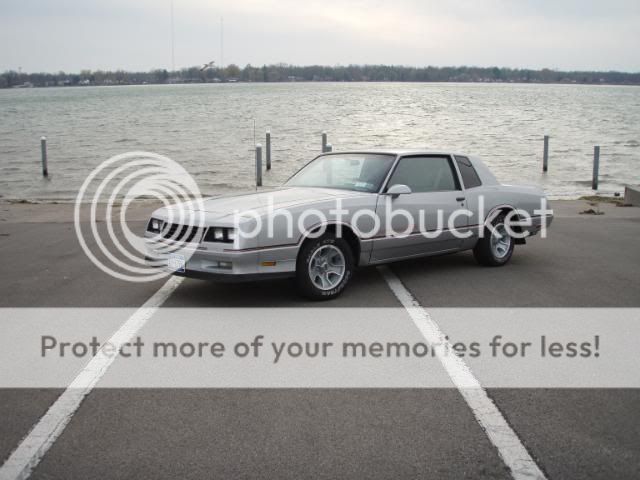 http://i88.photobucket.com/albums/k183/nelnova/PB090099.jpg