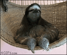 http://media.tumblr.com/tumblr_mdhs88nqCa1rnvwt1.gif