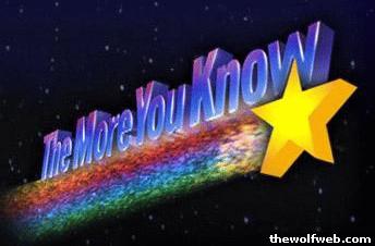 http://blogsap.files.wordpress.com/2006/10/nbc_the_more_you_know.jpg