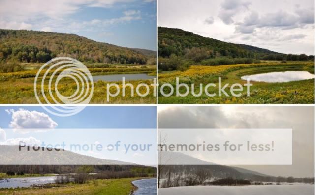 http://i37.photobucket.com/albums/e96/boarding087/4seasons_zps757d585a.jpg