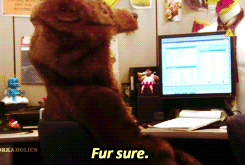 http://24.media.tumblr.com/tumblr_lzfxjqbiON1r89n1po2_250.gif