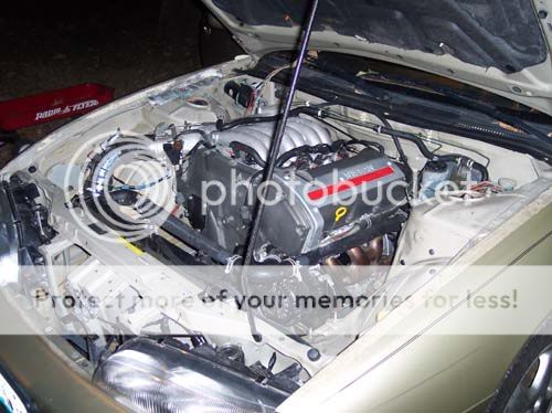 http://i4.photobucket.com/albums/y148/allen22/100_0304.jpg