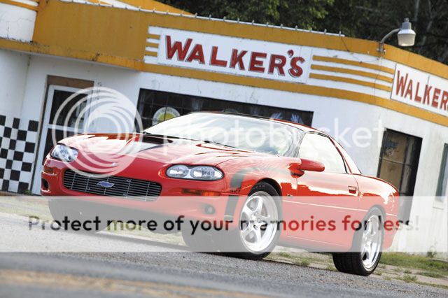 http://i32.photobucket.com/albums/d50/Shockwave179/113_0310_427_7_z.jpg?t=1244657394