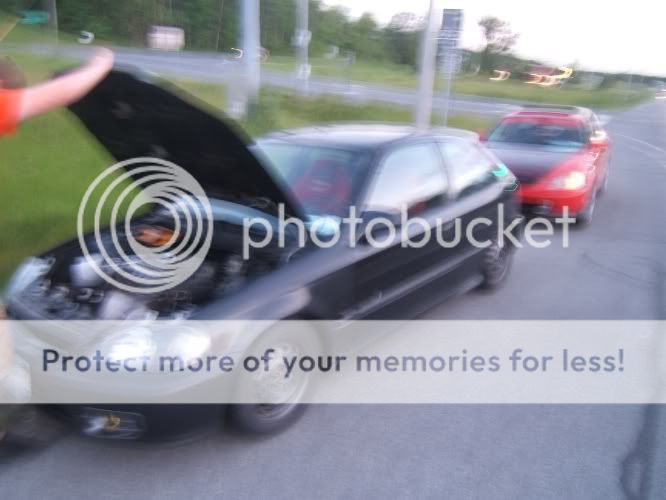 http://img.photobucket.com/albums/v398/subtlemishap/DSCF1711.jpg