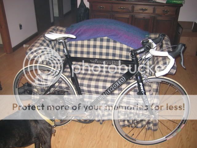 http://i16.photobucket.com/albums/b28/skierdood/IMG_0669.jpg