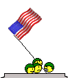 http://smiliesftw.com/x/usa.gif