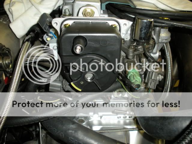 http://i197.photobucket.com/albums/aa271/shrekb18/newshrek/DSCN1027.jpg?t=1279473556