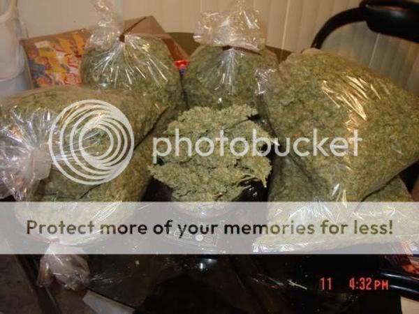 http://i271.photobucket.com/albums/jj157/GONEJONES/weed.jpg