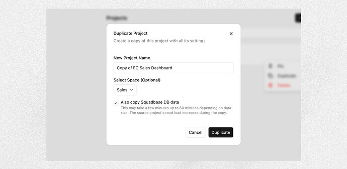 Improved project duplication