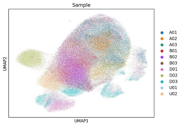 UMAP after Integration