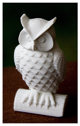Owl-2.4in-front-with5mmWhiteBorder.jpg