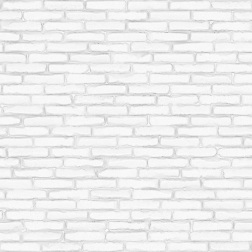 BricksPaintedWhite001_AO_1K