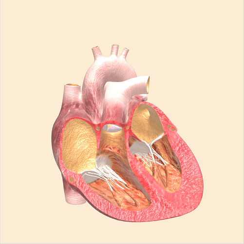 Heart