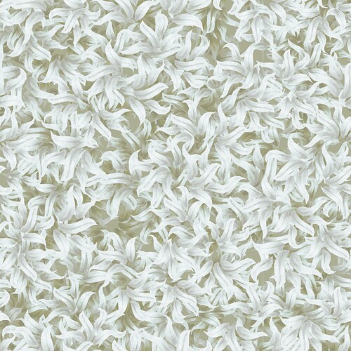 snow_grass