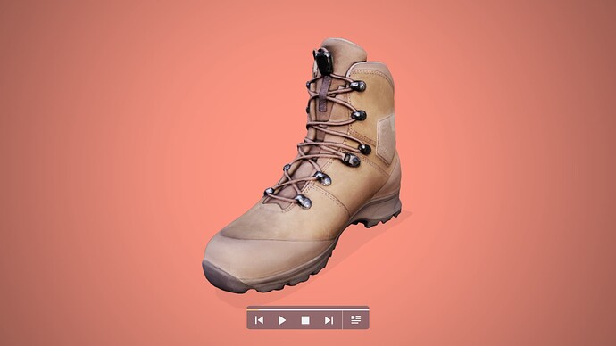 shoe