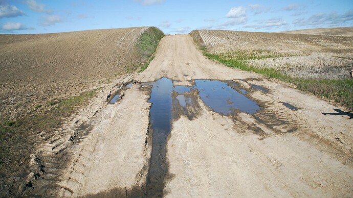 Summer Dirt Road View #2