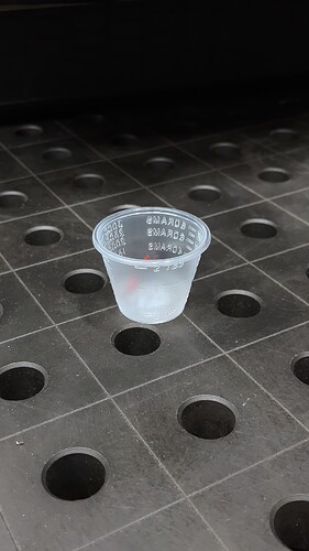 Small Plastic Cup