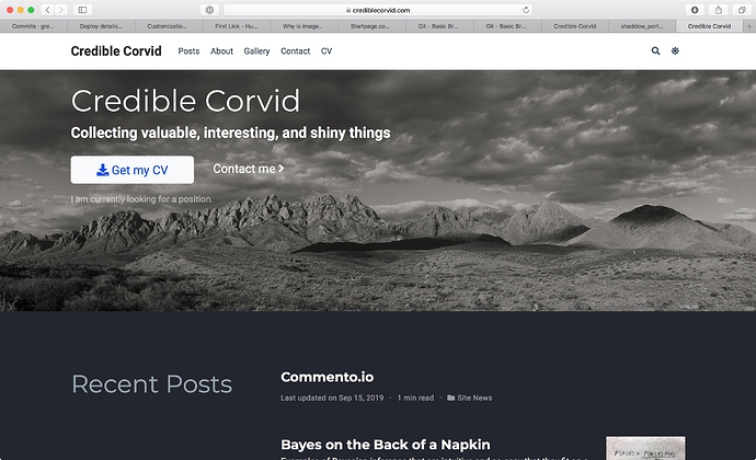 CredibleCorvid_screenshot