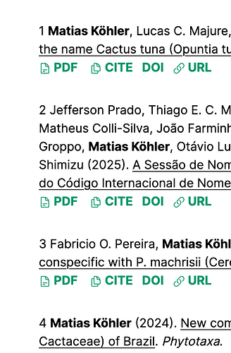 Bildschirmfoto 2025-07-24 um 17.33.07