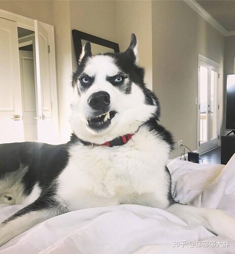 v2-74113291c9864c57430c80d484ac33bd