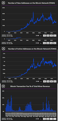 bitcoin-stagnant_metrics