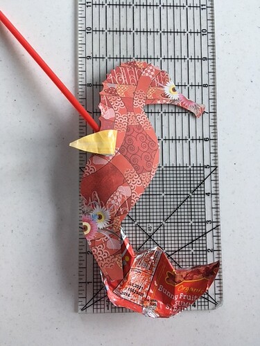 seahorse measurement1