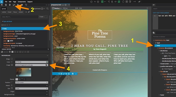 sample_page_pine