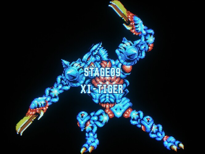 XI-Tiger