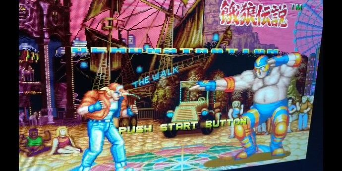 Terry vs Raiden