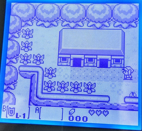 IMG_20180609_080539436