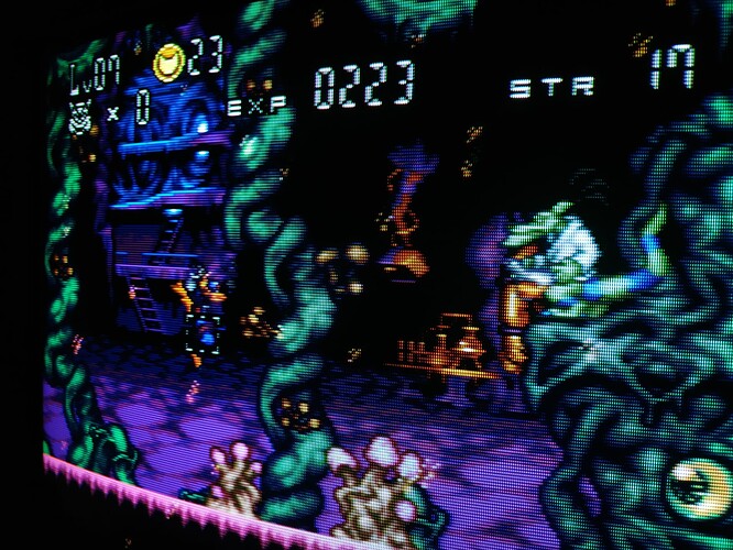 Fight with Dr. Viper