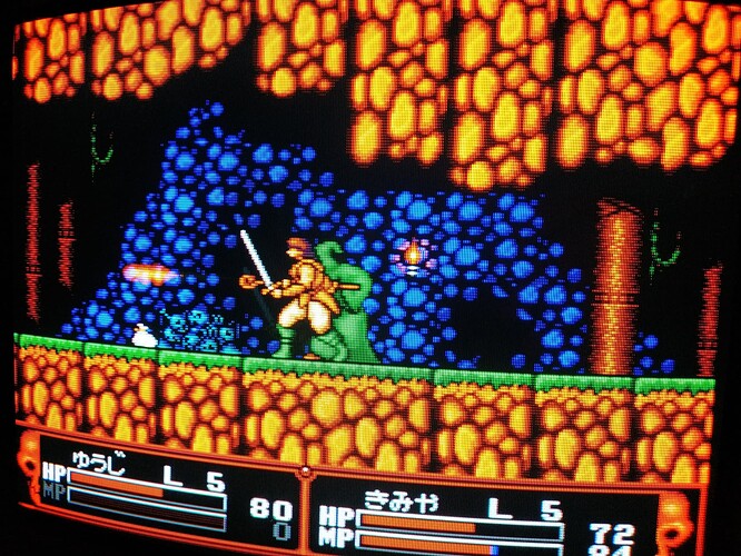 2p coop Warrior and Wizard