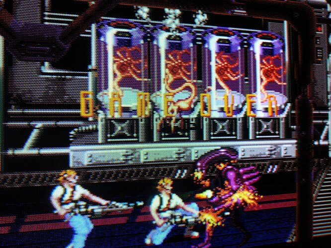 Double Ripley (glitch)