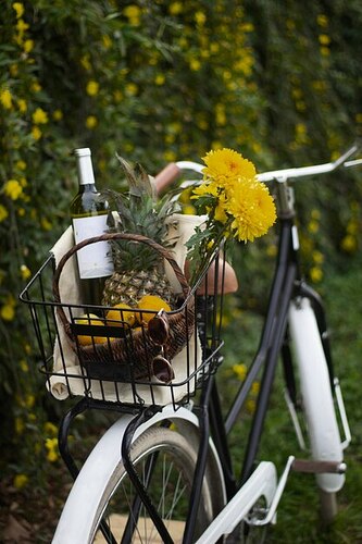 cesta-de-bicicleta-com-lindas-flores-e-garrafa_23-2149739989