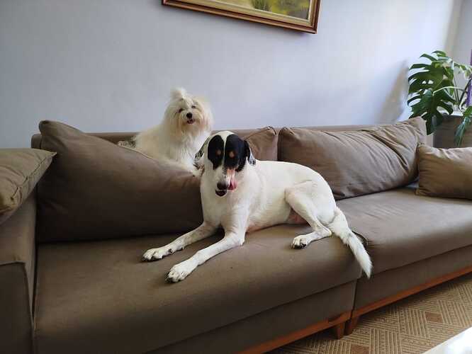 IMG-20241212-WA0006