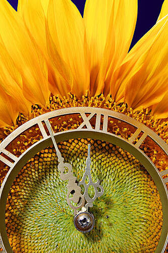istockphoto-152171857-612x612
