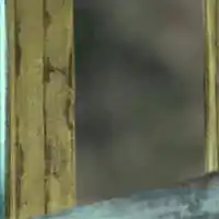 arnold-schwarzenegger-peeking