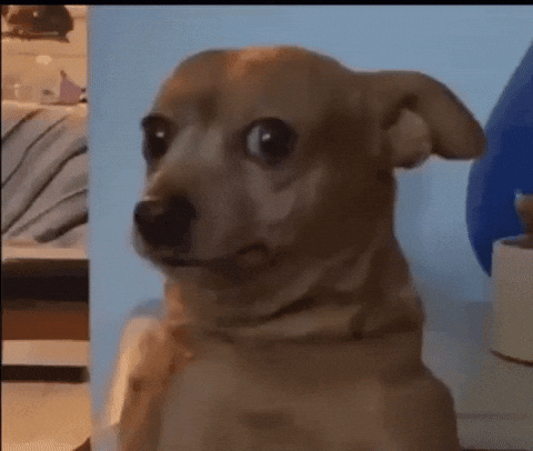 giphy