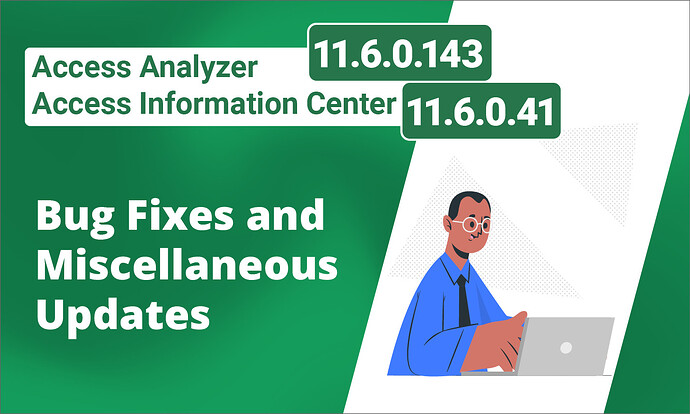 Access Analyzer 11_6_0_143