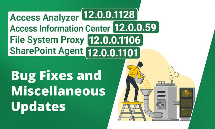 Access Analyzer 12_0_0_1128