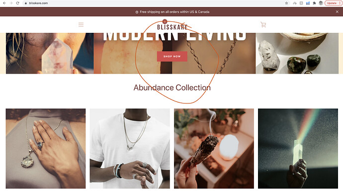 Screen Shot 2021-09-23 at 12.11.27 AM.png