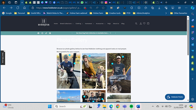 Solomond_0-1716296482226.png